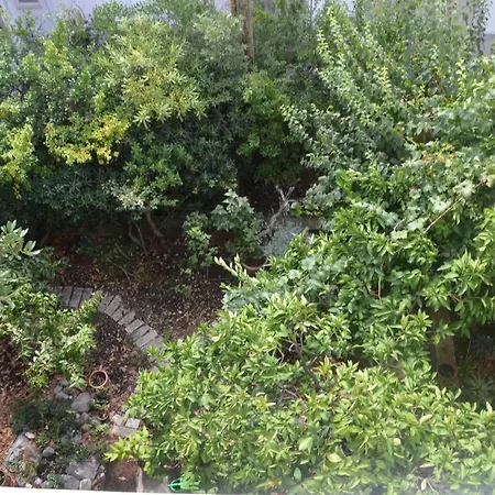 With Parking Space - 11361 * Makarska