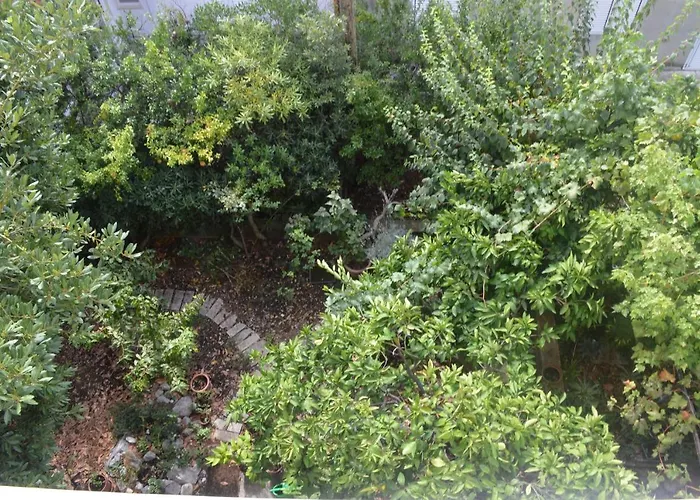 With Parking Space - 11361 * Makarska